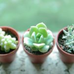 片付けと断捨離で新しい未来へ